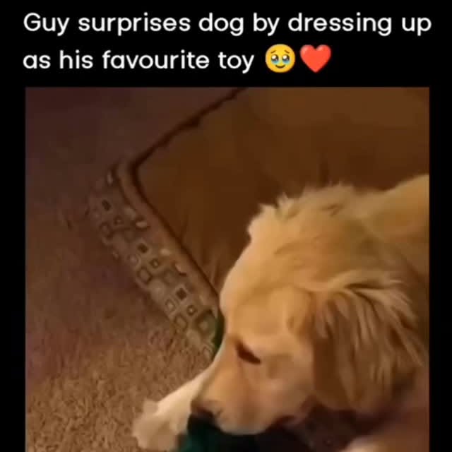  .......yexpre55   'recent posts' 