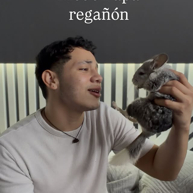  ........del_exito   'recent posts' 