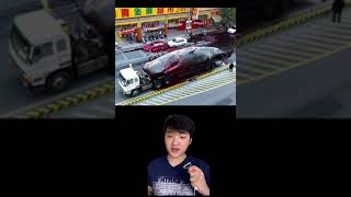  .....s Kim  'recent videos' 