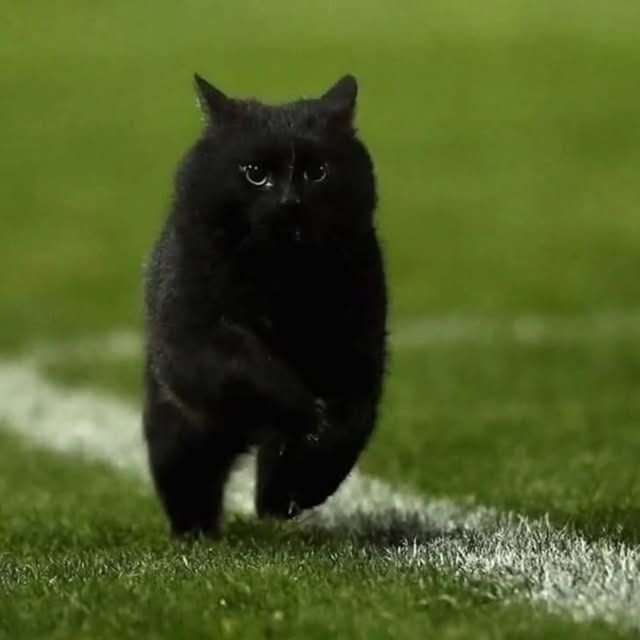  .......ats_club   'recent posts' 