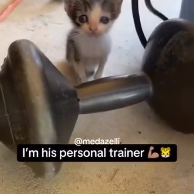  .......fitnes_   'recent posts' 