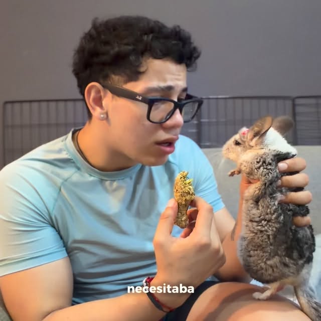  ........del_exito   'recent posts' 