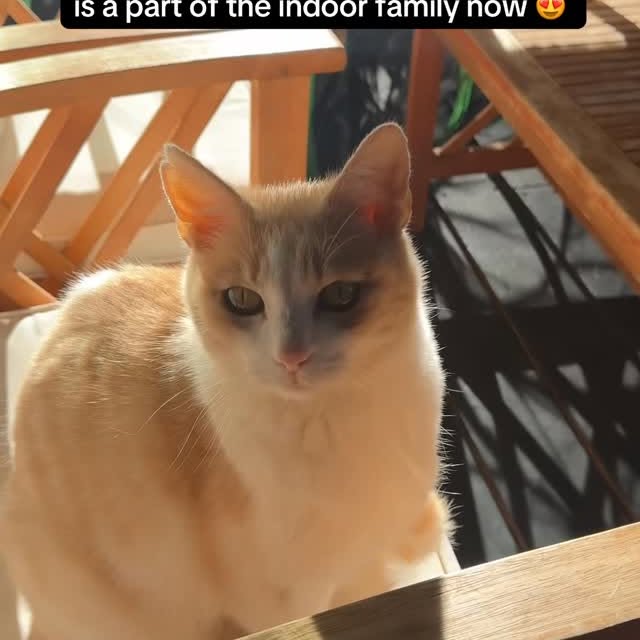  ......_diana   'recent posts' 