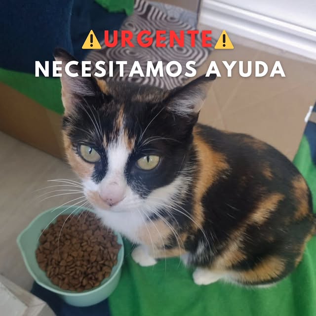  ........._barcelona   'recent posts' 