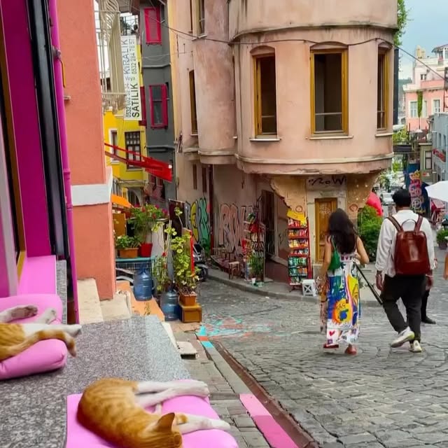  ......fervor   'recent posts' 