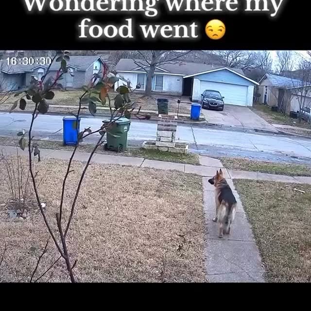  ......imalshq   'recent posts' 