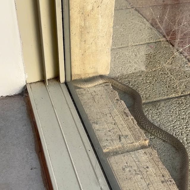  ...ral   'recent posts' 