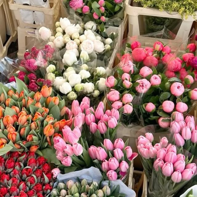  .....a_rad   'recent posts' 