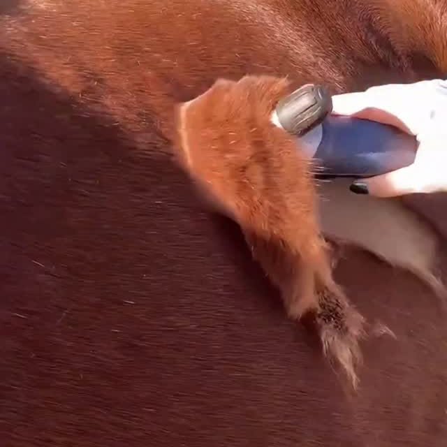  .....acthub   'recent posts' 