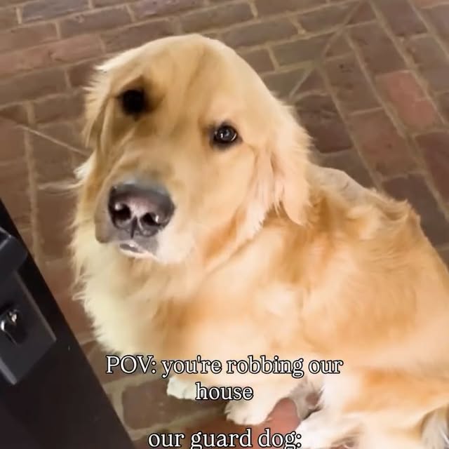  ......ohnson   'recent posts' 