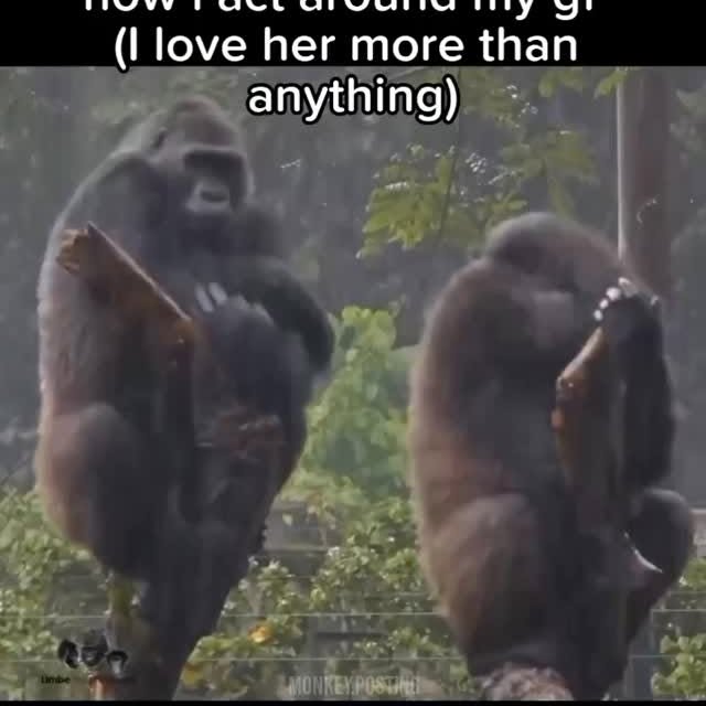  .......posting   'recent posts' 