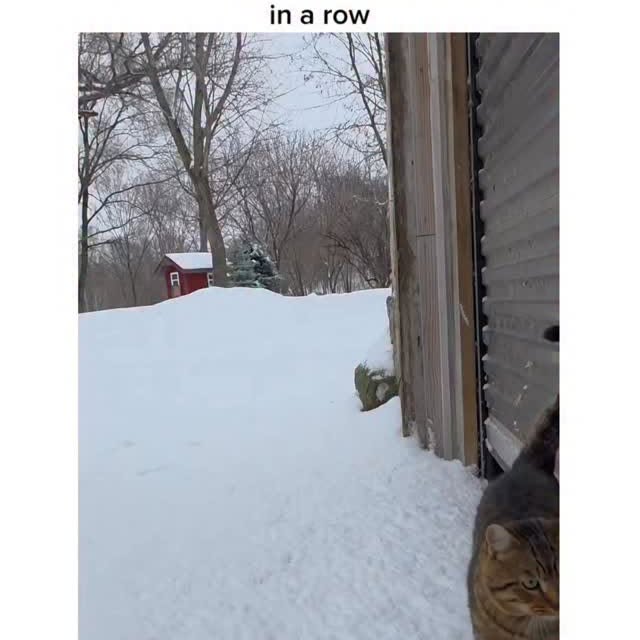  ..obe   'recent posts' 