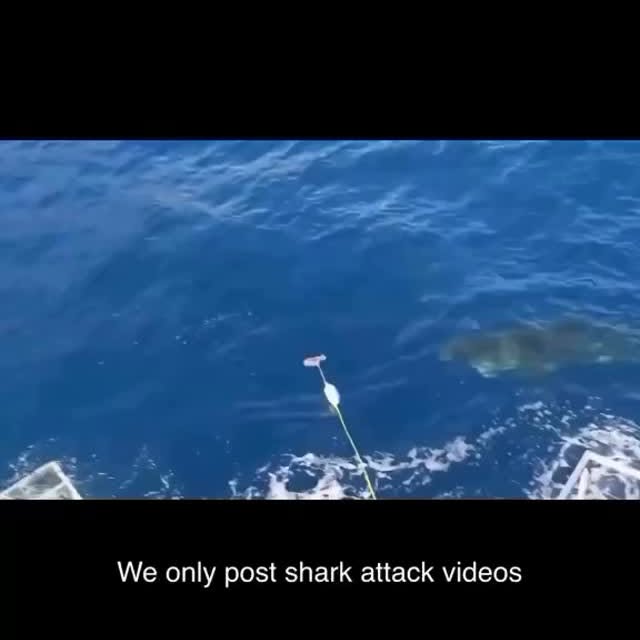  .........arkattacks   'recent posts' 