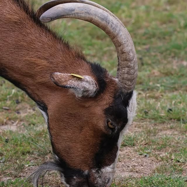  ......fehood   'recent posts' 