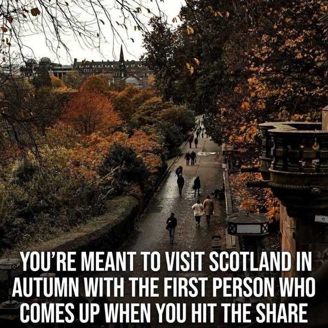  ......sfever   'recent posts' 