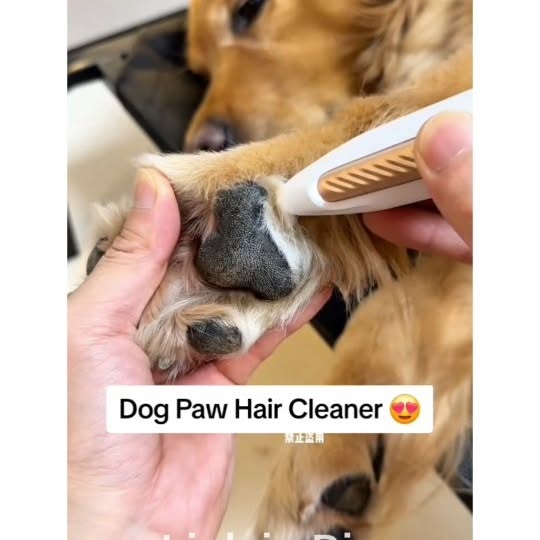  .......page_   'recent posts' 