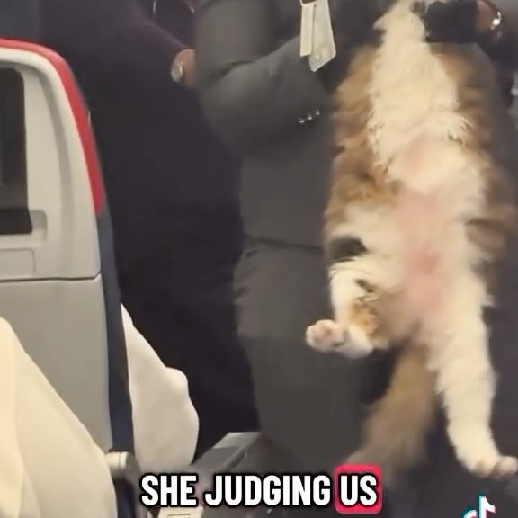  ........rshaming   'recent posts' 