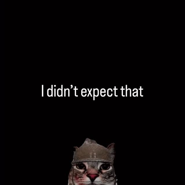  ....eowsy   'recent posts' 