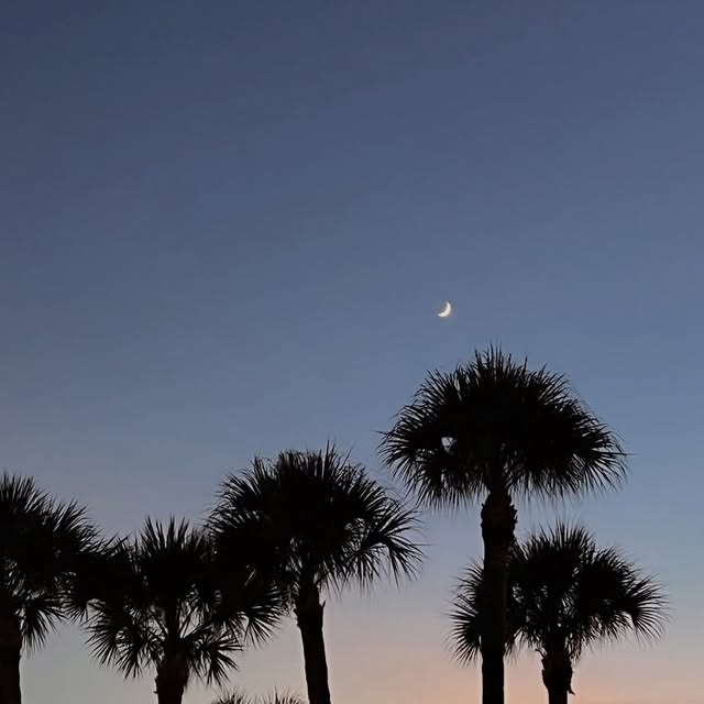  ......labarca   'recent posts' 