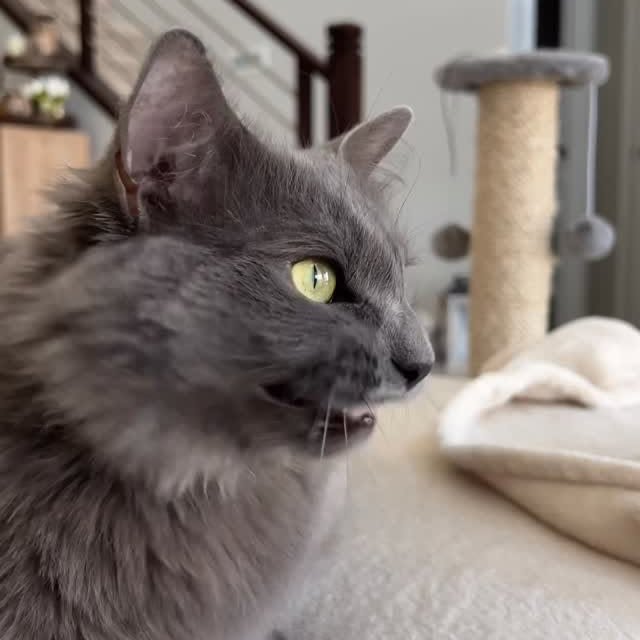  ......kekkek   'recent posts' 