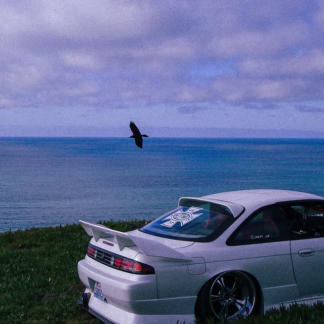  .....mdevil   'recent posts' 