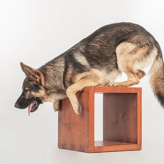 Hire ....iming influencer with 175.9k