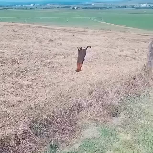  ...urre   'recent posts' 