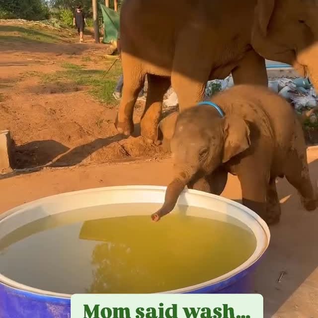  ........sofworld   'recent posts' 