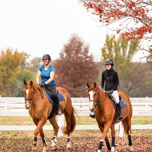  .....hulse   'recent posts' 