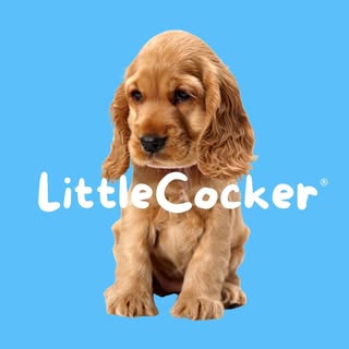 Hire ..........erofficial influencer with 64.1k