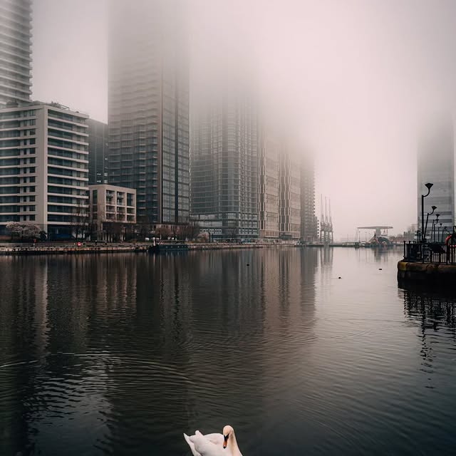  ......photos   'recent posts' 