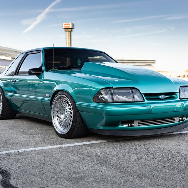  .......fanclub   'recent posts' 