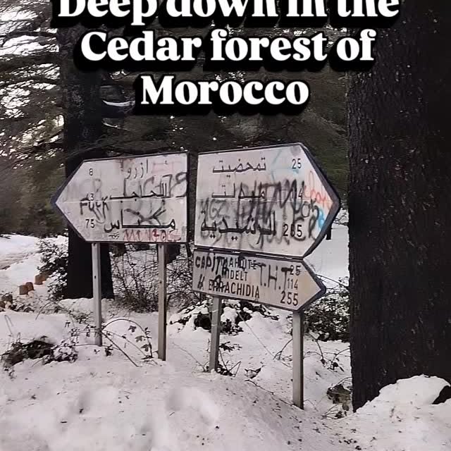  ......my_city   'recent posts' 