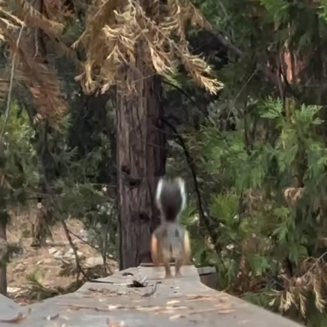  ........unlocked   'recent posts' 