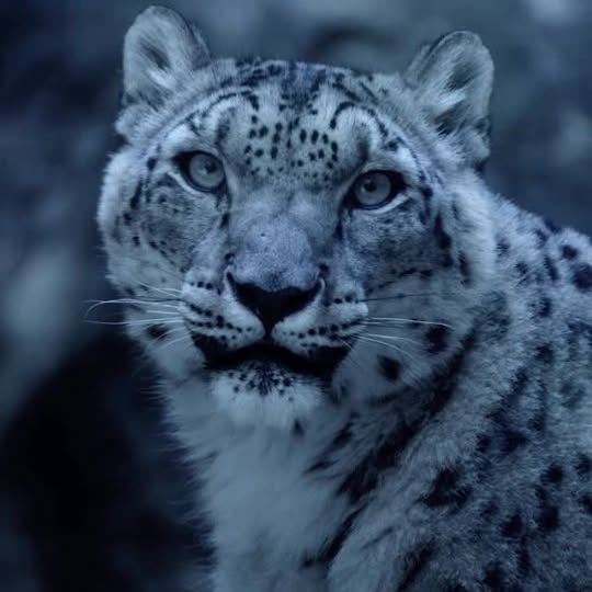  .....ature   'recent posts' 