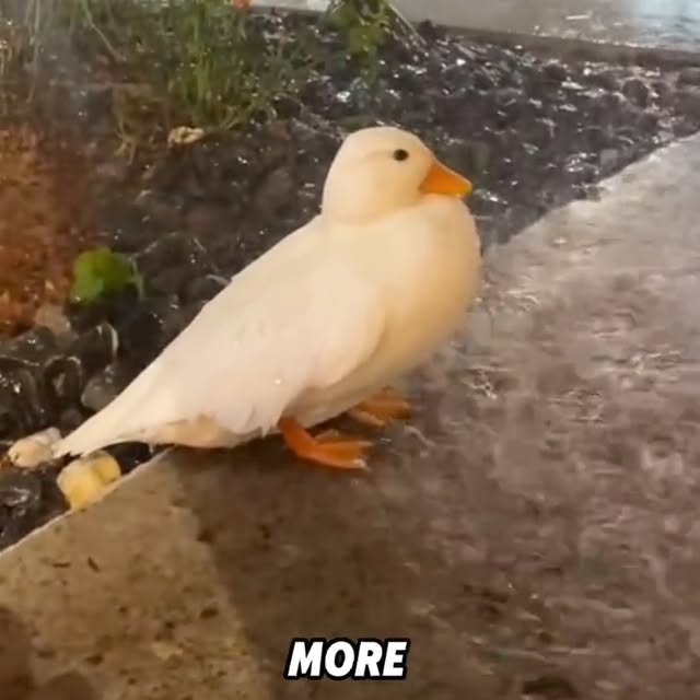  ........ckstatue   'recent posts' 