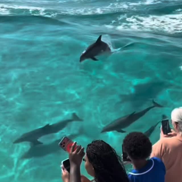  .....lorida   'recent posts' 