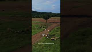  ..nTV  'recent videos' 