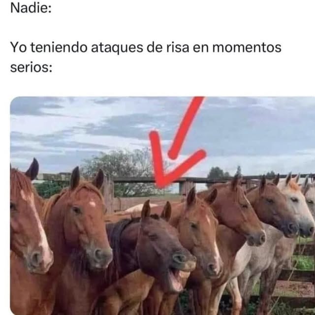  .....nanzis   'recent posts' 