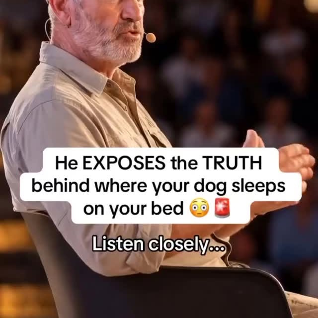  ..........n.retriever   'recent posts' 