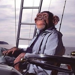 Hire .......posting influencer with 449.8k