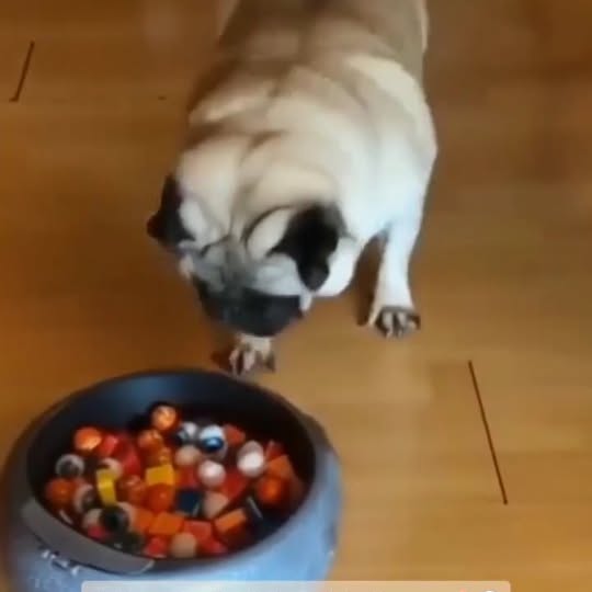  .....wners   'recent posts' 