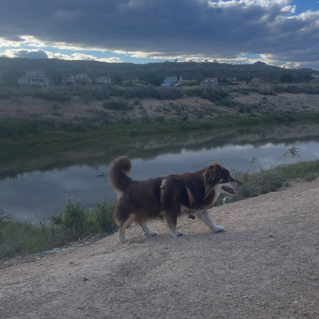  .....og2020   'recent posts' 