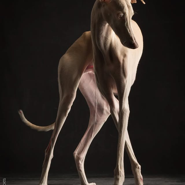  ..........hotography   'recent posts' 