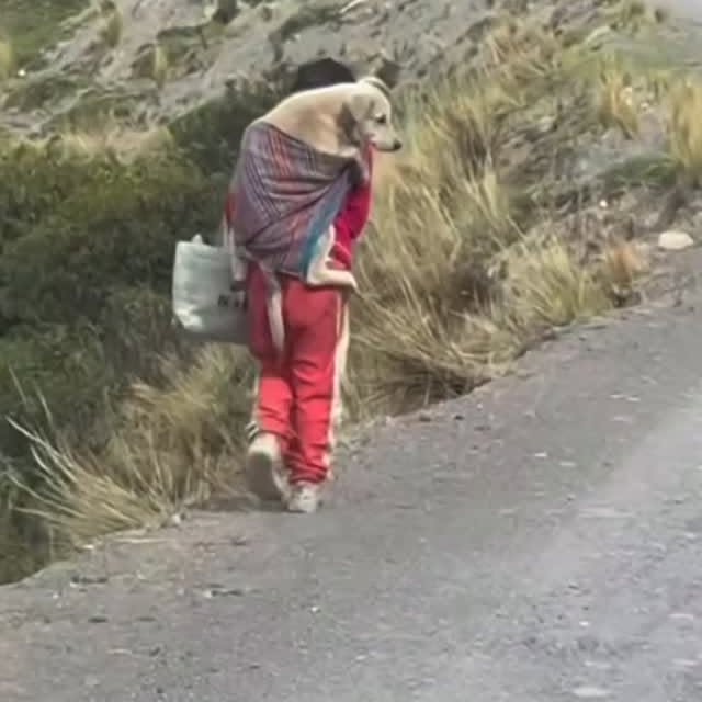  ......estige   'recent posts' 