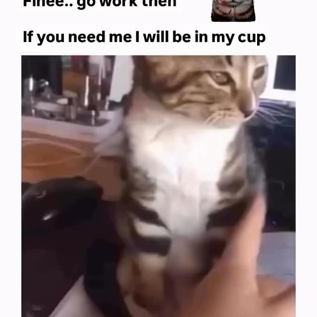  ....eowsy   'recent posts' 