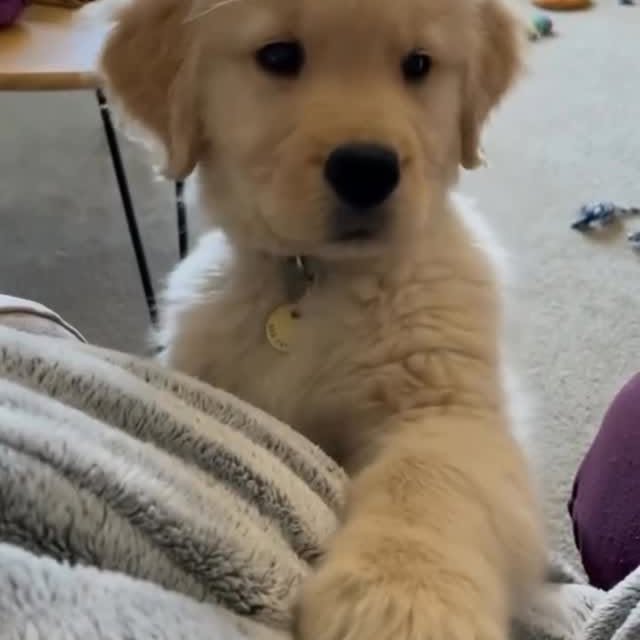  ......orable   'recent posts' 