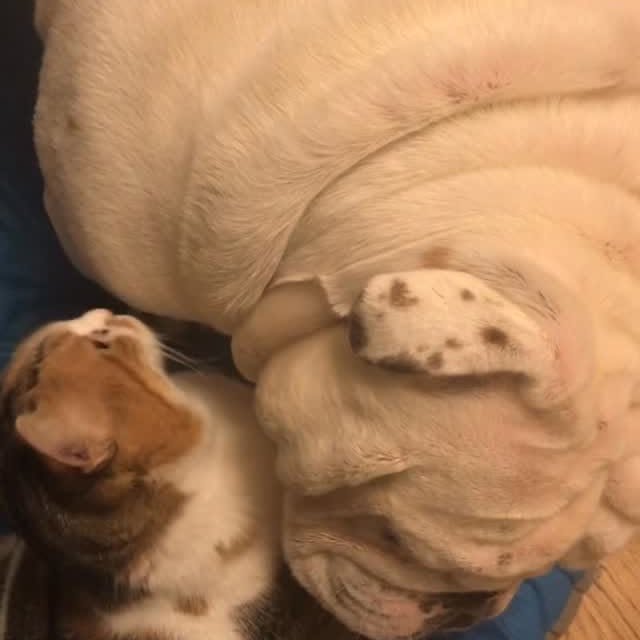  ......rwhite   'recent posts' 