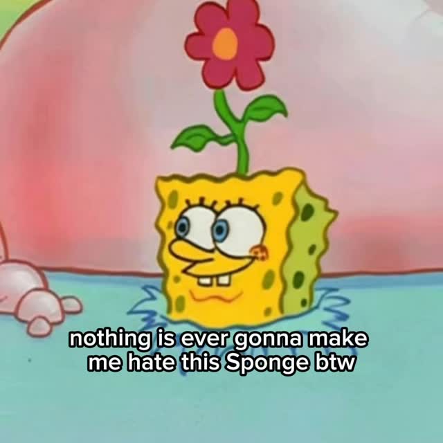  .....myleg   'recent posts' 