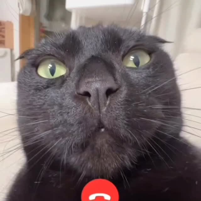  .......ats_club   'recent posts' 